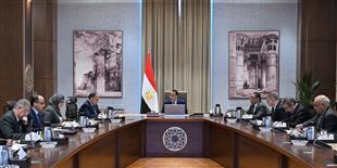 رئيس الوزراء يناقش إنشاء المجلس الوطني لتوطين تكنولوجيا تصنيع الرقائق الإلكترونية في مصر